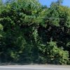 Иконка канала Природа вокруг нас🌿