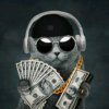 Иконка канала CACCYCnomnu