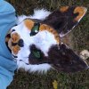 Иконка канала 🌱КВД🦊ФИНИК🌱