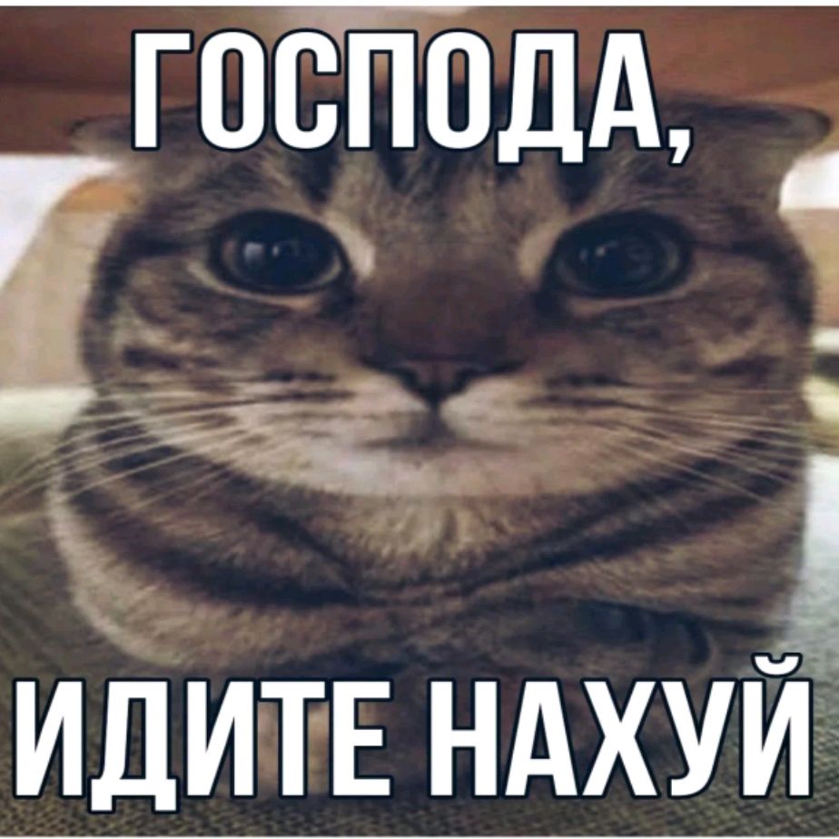Иконка канала kuraГриль Играет
