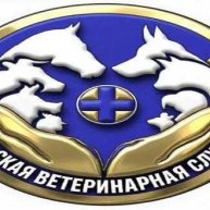 Иконка канала КГБУ "Спасская ВСББЖ"