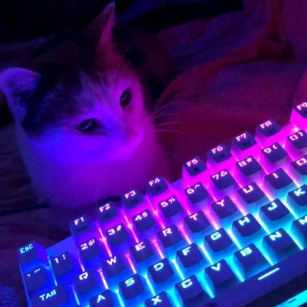 Иконка канала Котик