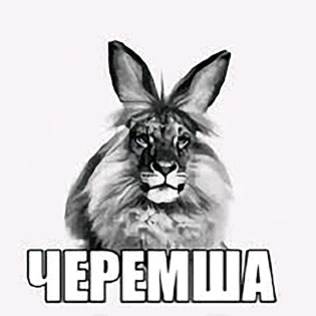Иконка канала Черемша