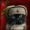 Иконка канала Валика