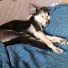 Иконка канала ПодДелка