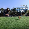 Иконка канала Футбольный Кубик