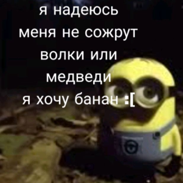 Иконка канала Минион В Лесу
