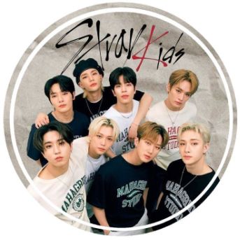 Иконка канала «Stray Kids - САМЫЕ СВЕЖИЕ News »