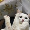 Иконка канала Юморок Обозревает