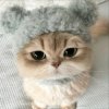 Иконка канала channel80190576