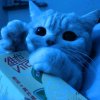 Иконка канала Котя Шоу