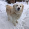 Иконка канала Kocolapymishka