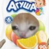 Иконка канала агуша
