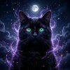 Иконка канала Полуночный кот