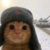 Иконка канала Сева Трушкин