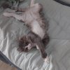 Иконка канала всё про всё Артём