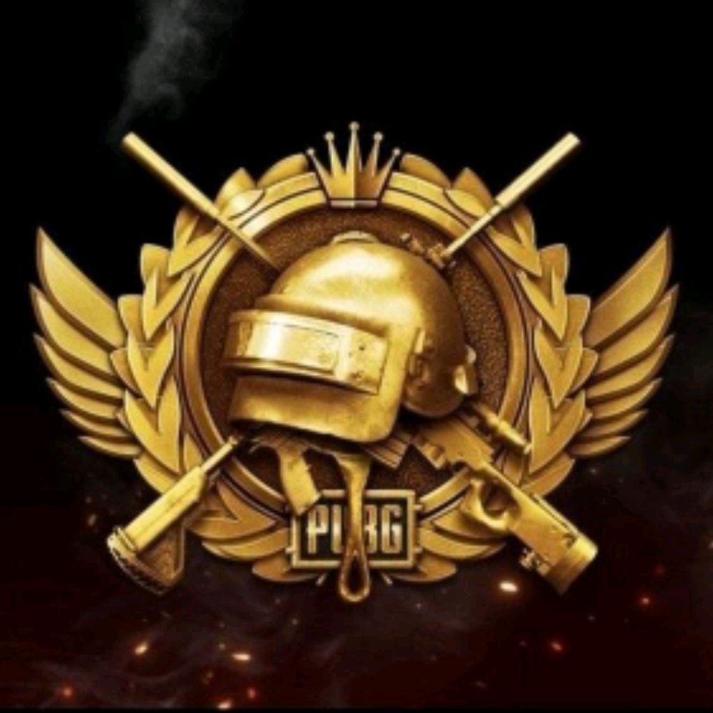 Иконка канала Survive the Classic PUBG
