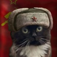 Иконка канала Советский кот 15к
