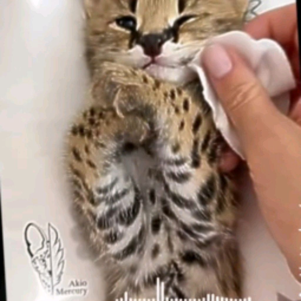 Иконка канала 😺..﹤MiSs_MiLasha..﹥😺