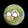 Иконка канала Пивовозик
