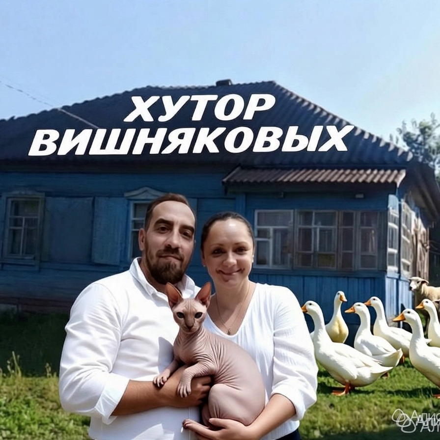 Аватар автора