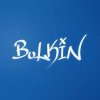 Иконка канала Bulkin