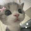 Иконка канала ☆Mis_РЕГИШКА☆