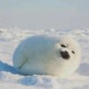 Иконка канала Yaonsdson^_^