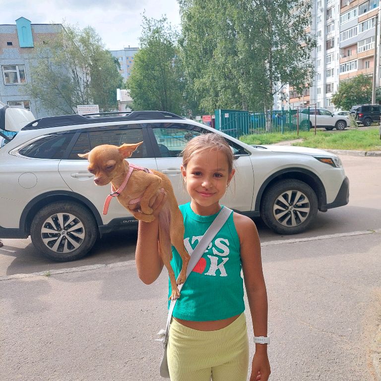 Аватар автора
