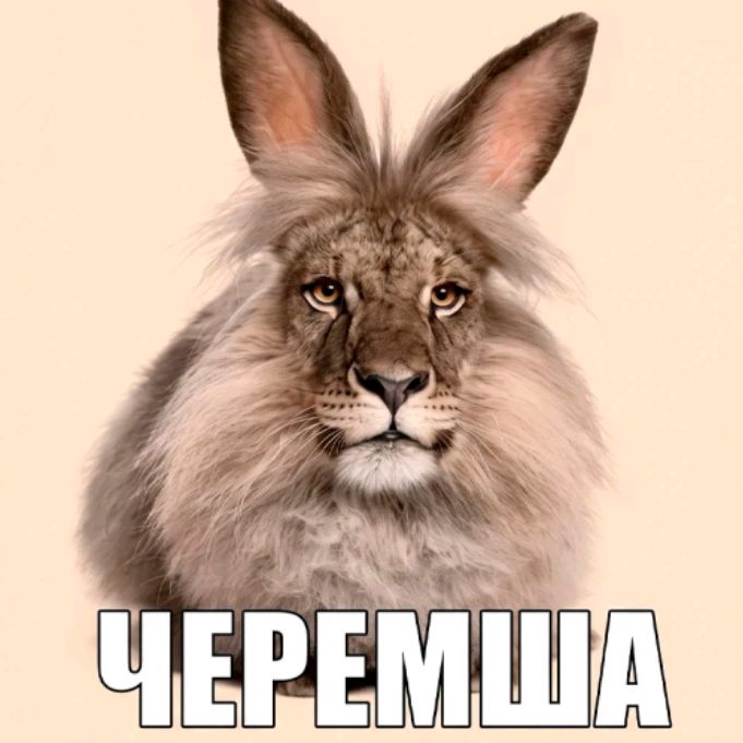 Иконка канала Лайк