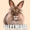 Иконка канала Лайк