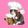 Иконка канала Котёнок Поварёнок