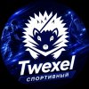 Иконка канала Twexel Sports