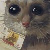 Иконка канала Мишутер Аксенка играет