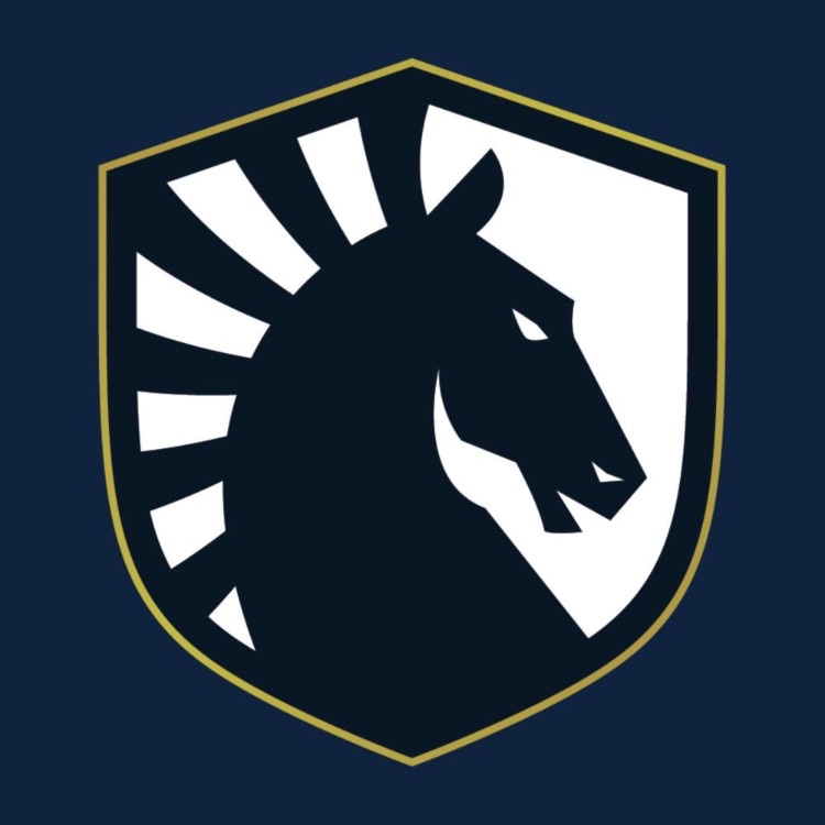 Иконка канала TEAM LIQUID