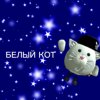 Иконка канала БЕЛЫЙ КОТ