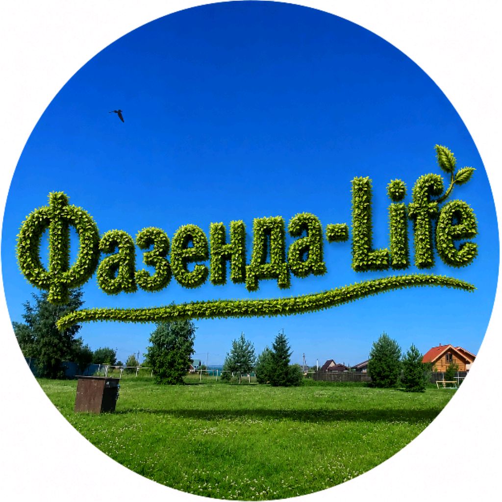 Иконка канала Фазенда - Life