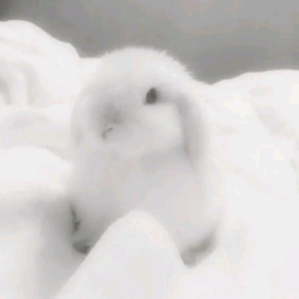 Иконка канала Polishkins.rb🖤