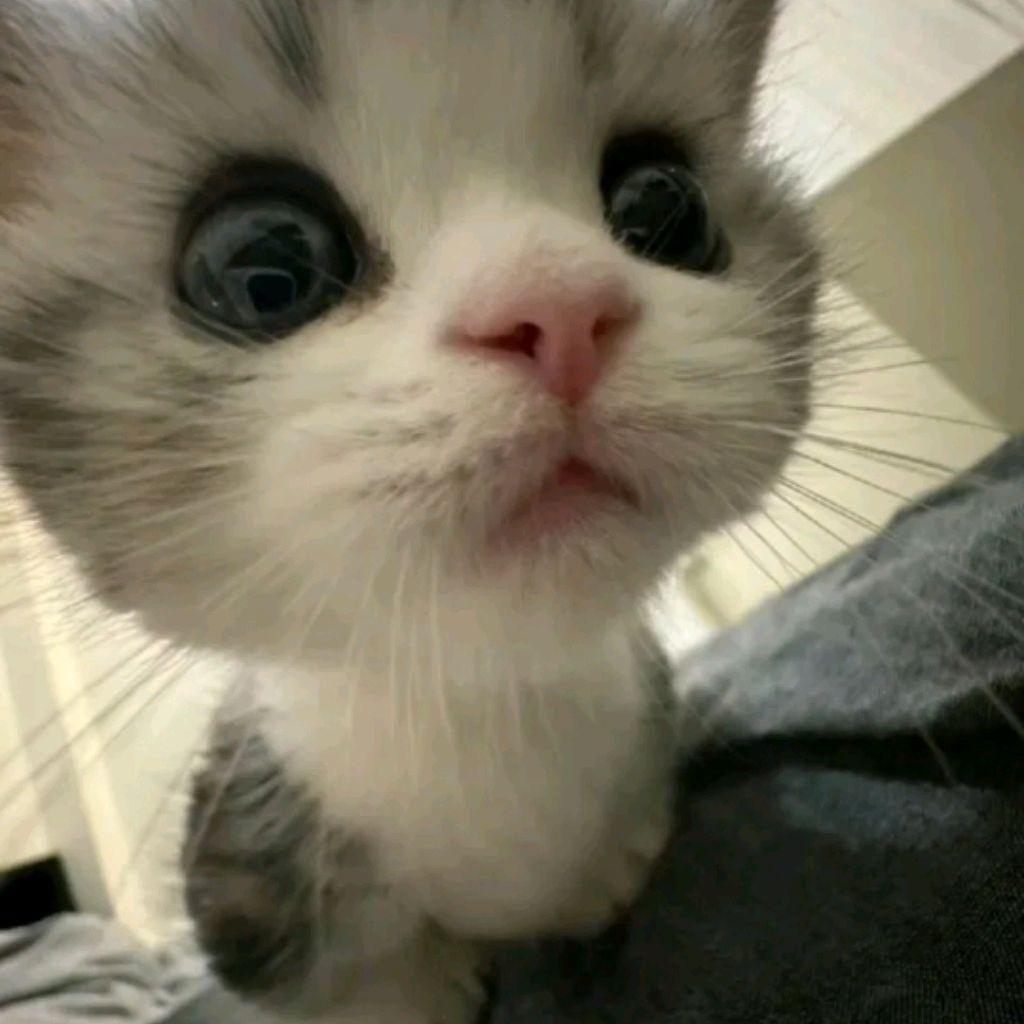 Иконка канала ✨💗..MiSs_MiLasnA..💗✨