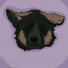 Иконка канала ~~MINT ♡ ⁠AUSSIE~~🪽