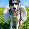 Иконка канала Великая Юкиша 1-ая🐺🔥❤️