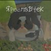 Иконка канала ЯрославЧЕК