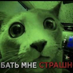 Иконка канала Сели - Поели