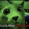Иконка канала Сели - Поели