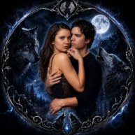 Иконка канала 🐺𝓣𝓱𝓮 𝓝𝓲𝓰𝓱𝓽 𝓦𝓸𝓵𝓯'𝓼 𝓕𝓪𝓶𝓲𝓵𝔂🐺