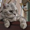 Иконка канала ВСЁ СВОЁ