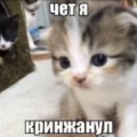 Иконка канала ٩(๑・ิᴗ・ิ)۶Ростов. ice٩(๑・ิᴗ・ิ)۶
