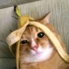 Иконка канала Хлорид