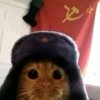 Иконка канала КОТ СССР