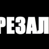 Иконка канала Forest
Kot
Begemot